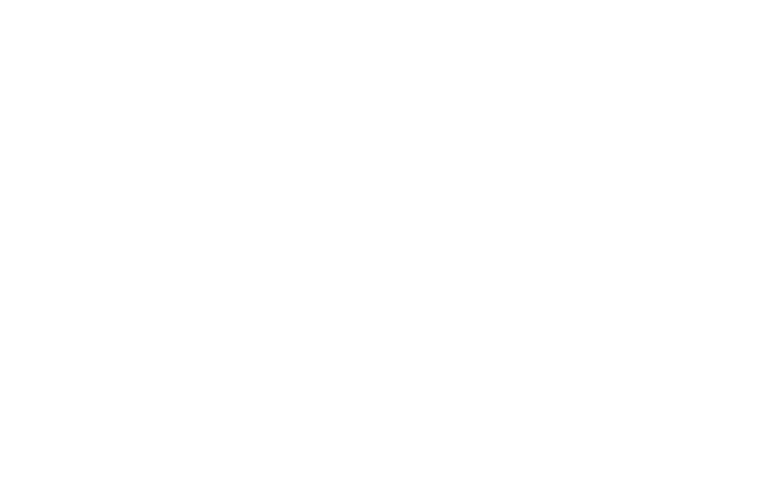 Logo von SkinScreener auf schwarzem Hintergrund.